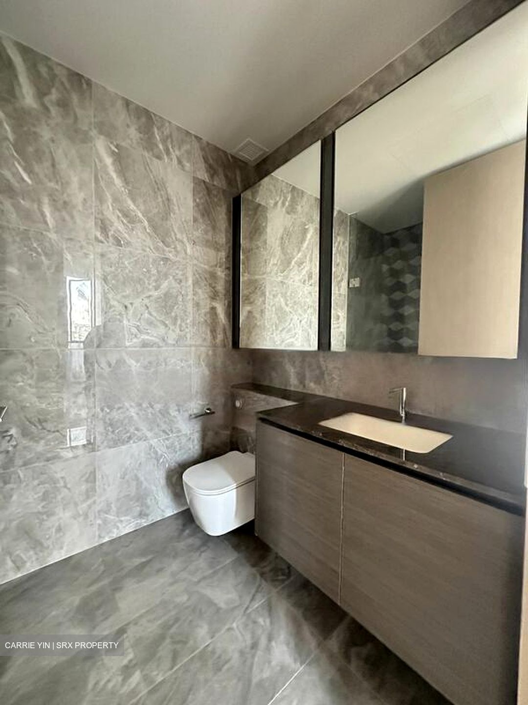 Leedon Green (D10), Condominium #593646731